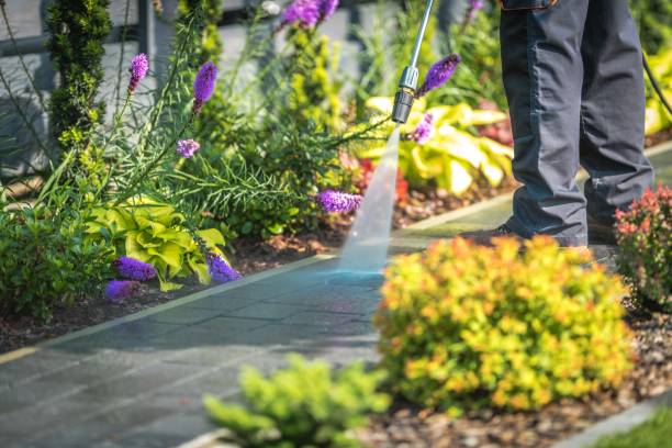 Best Soft Washing  in Amery, WI