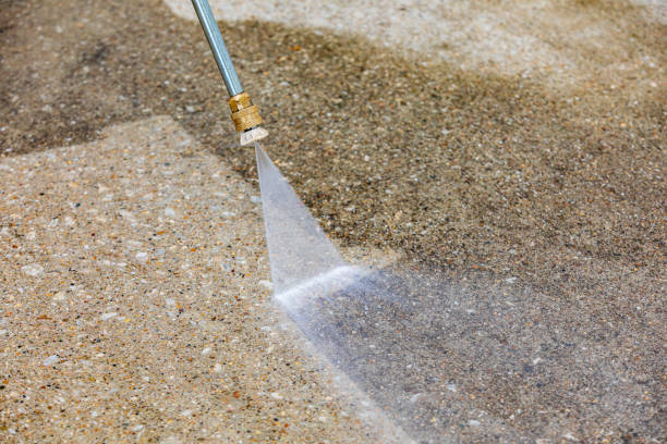 Best Roof Washing  in Amery, WI